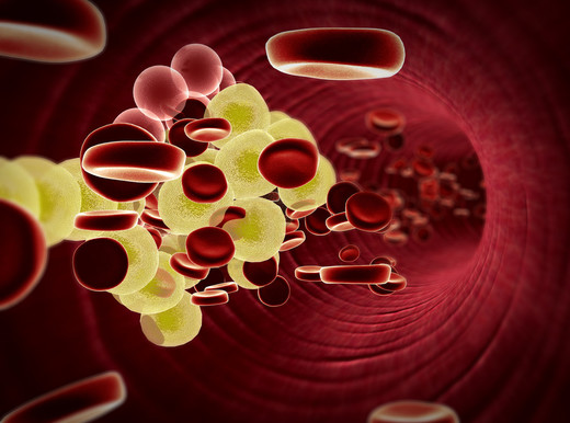 Come viaggia il colesterolo nel sangue?