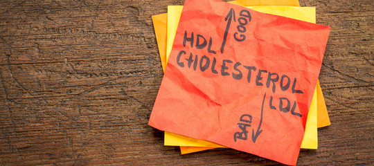 Come viaggia il colesterolo nel sangue?