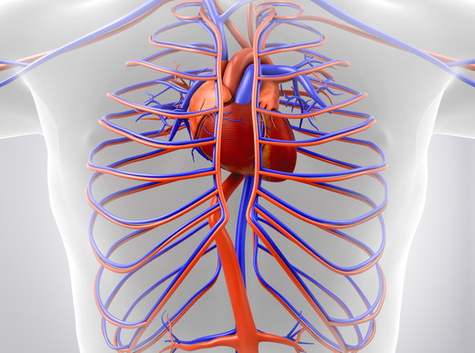I sintomi dello scompenso cardiaco