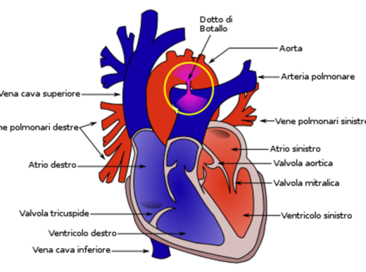 Un ombrellino per chiudere i sensi “vietati” nel cuore