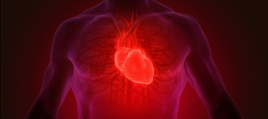 Coda I Segni Del Cuore Dove Vederlo