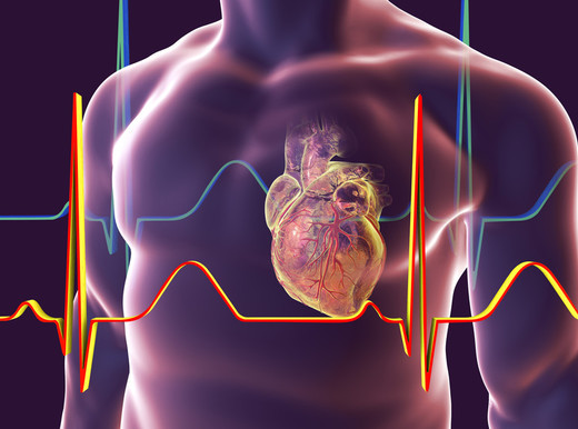 Infarto, le tecniche del futuro per svelare i segreti delle coronarie