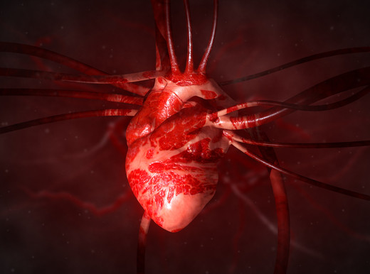 L’RNA “intelligente” rigenera le cellule del cuore dopo l’infarto