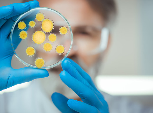 Il microbioma “speciale” degli ipertesi con depressione