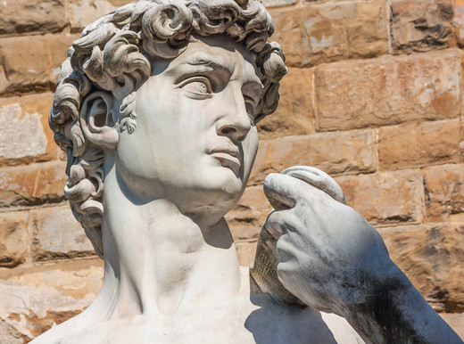 Le statue di Michelangelo modello per la cardiologia