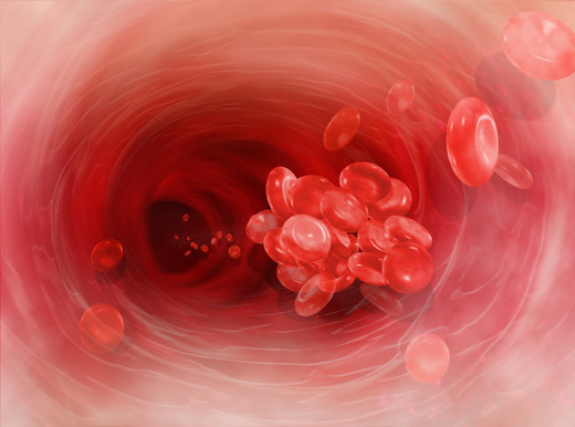 Le cellule multipotenti presenti nel sangue dicono se il cuore è a rischio infarto
