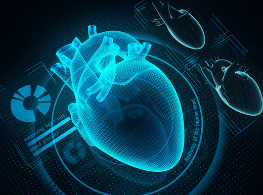Allo studio “gemello” digitale del cuore, per scoprire come prevenire l’infarto e valutare l’efficacia delle cure