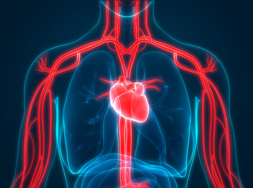 Un’alleanza per proteggere la salute del cuore