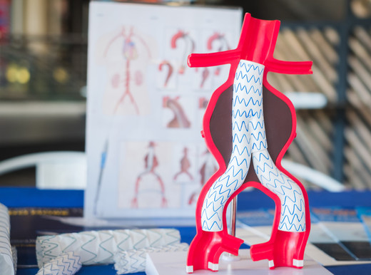 Più vicina l’arteria biotech per le coronarie molto piccole